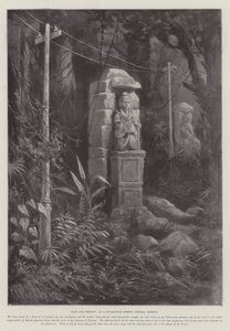 Passato e Presente, in una Foresta del Nicaragua, America Centrale